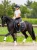 young-rider-champion-tights.webp