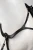 VAXPD_099_04.webp