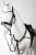 VAXPD_099_01.webp