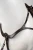 VAXPD_740_05.webp