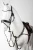 VAXPD_740_01.webp