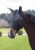 216521_Anwendungsbild__3229050_d901.jpg