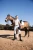 MCCTH_001_09.webp