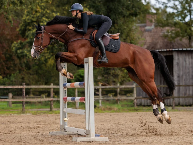sportive-black_jump-saddle-pad1.webp