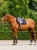 modern-mesh-jump-saddle-pad_fd3f3de6-4e60-4562-99ca-867c504715e3.webp