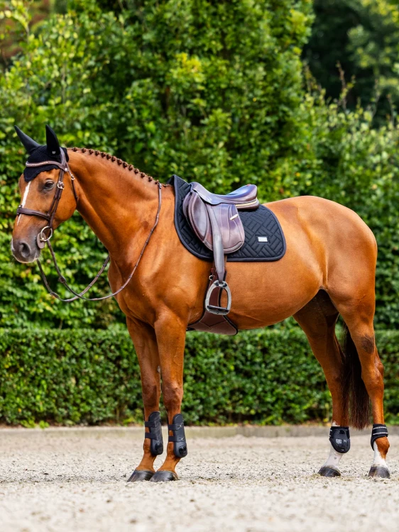 modern-mesh-jump-saddle-pad_fd3f3de6-4e60-4562-99ca-867c504715e3.webp