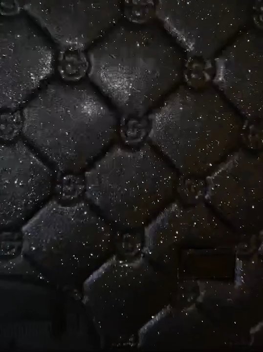 videoframe_7685.png