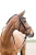 10040_BL_03 (1).webp