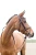 10040_LBR_02 (1).webp