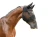 104032_b7d3.webp