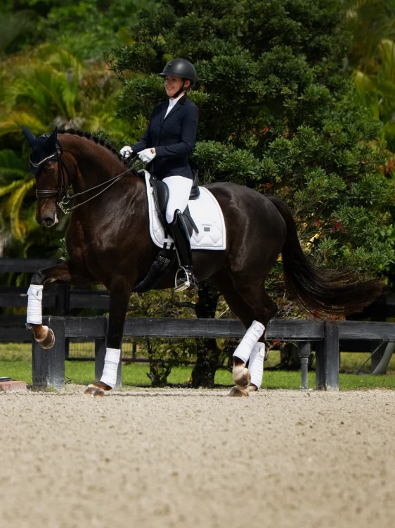 white-perfection-silver_dressage-saddle-pad2.webp
