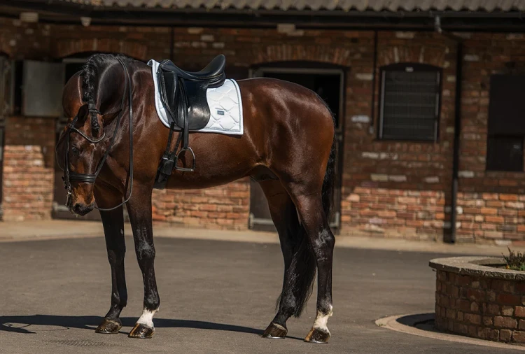 dressage-saddle-pad-white-perfection-silver.webp