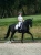 dressage-saddle-pad-white-perfection-white-silver-esstockholm.webp