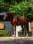 Line_Bordeaux_CV4A3762_1536x2048_3eb1ad4e-9e97-4f44-9718-79293c3b9b55.webp