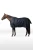 X2Y8W_594_01.webp