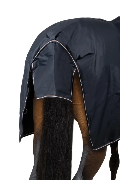 X2Y8W_594_03.webp