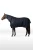 HXQA0_594_01.webp