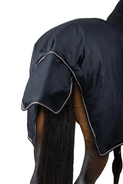 HXQA0_594_03.webp