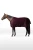 9CAEA_288_01.webp