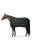 8HMCK_694_01.webp