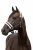 22244_099_03.webp