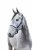 22244_591_03.webp