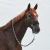 22301_BL_2.webp