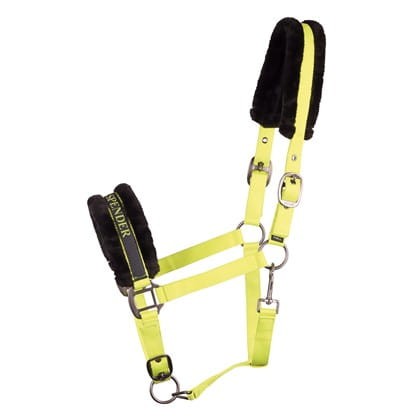 31000055_lime-2.jpg