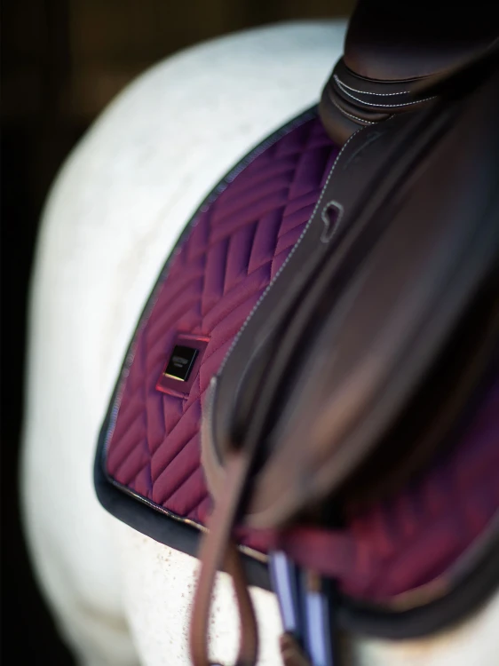 Purple-Night-Modern-jumping-saddle-pad-hoppschabrak-springschabrack-spring-zadeldekje-2048x2730-6.webp