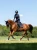 royal-classic-jump4.webp