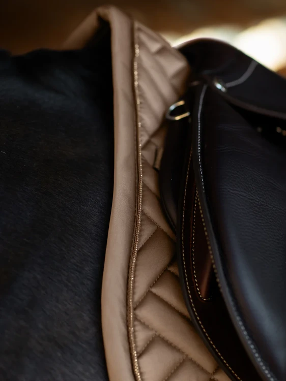 champagne-jump-saddle-pad.webp
