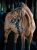black-edition-dressage.webp