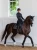 blackeditionhovdr.webp
