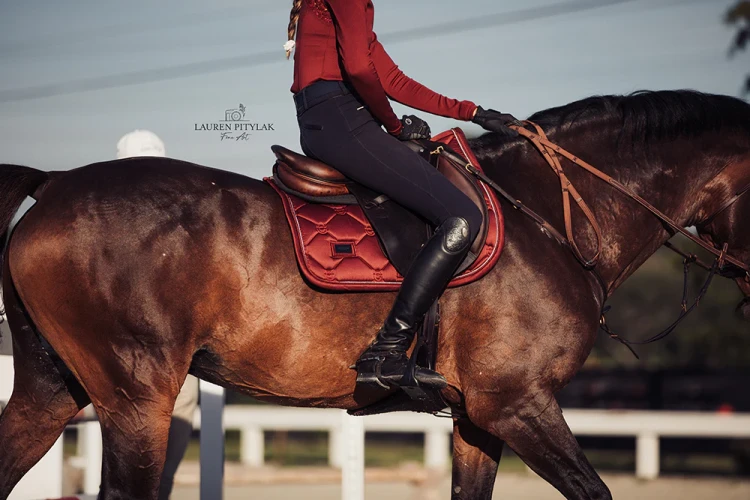 bordeaux-saddle-pad-jump-equestrian-stockholm-2-1.webp