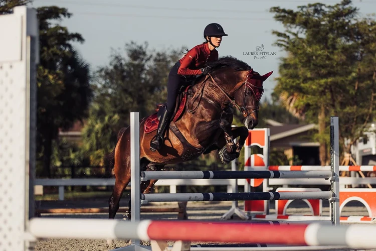 bordeaux-saddle-pad-jump-equestrian-stockholm-3-1.webp