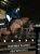 blue-meadow-jumping-saddle-pad-hoppschabrak-springschabrack-spring-zadeldekje-hov-1.webp