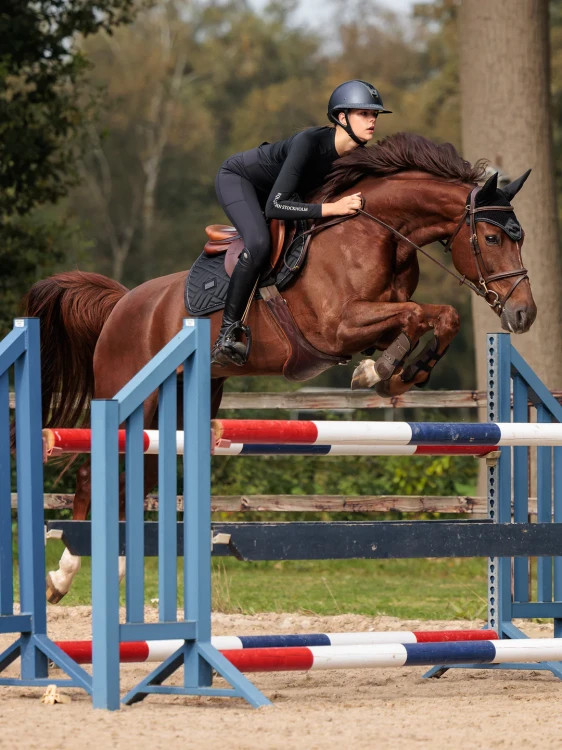 modern-black_jump-saddle-pad1.webp