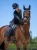 black-dressage-saddle-pad.webp