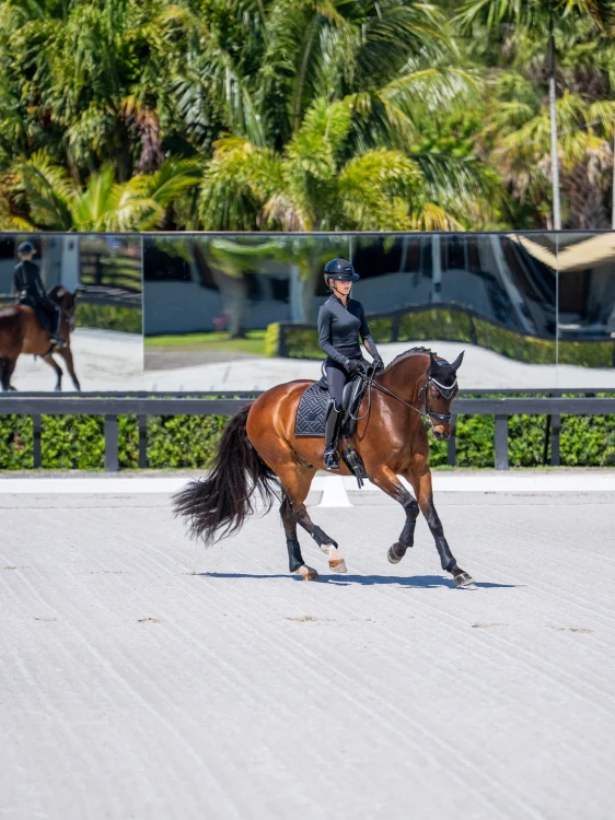 black-dressage-saddle-pad2.webp