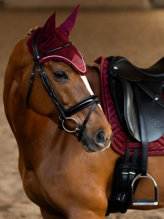 ear-bonnet-bordeaux-2.webp