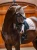 Line_Champagne_CV4A4797_1536x2048_1.webp