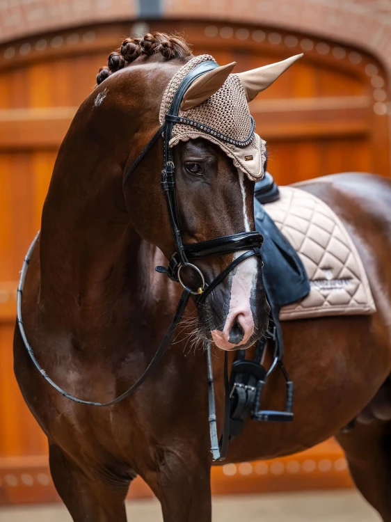 Line_Champagne_CV4A4797_1536x2048_1.webp