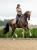 Line_Champagne_4_19_1536x2048_1.webp