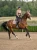 Line_Champagne_4_35_1536x2048_1.webp