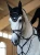 MG_3098e-1536x2048.webp