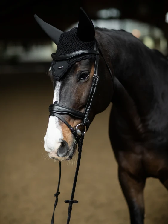 black-silver-ear-bonnet2.webp