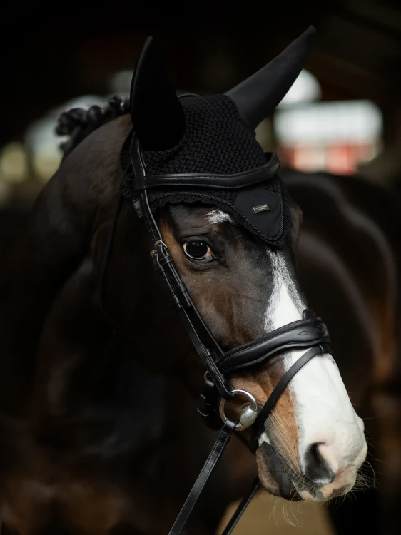 black-silver-ear-bonnet.webp