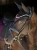 Purple-Night-ear-bonnet-huva-fliegenhaube-oornetje-2048x2730-3.webp