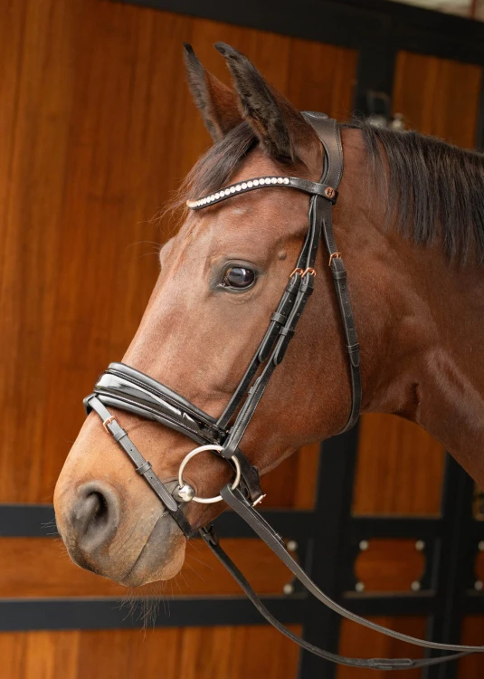 HARRY'S HORSE ROSEGOLD LACQUE II]